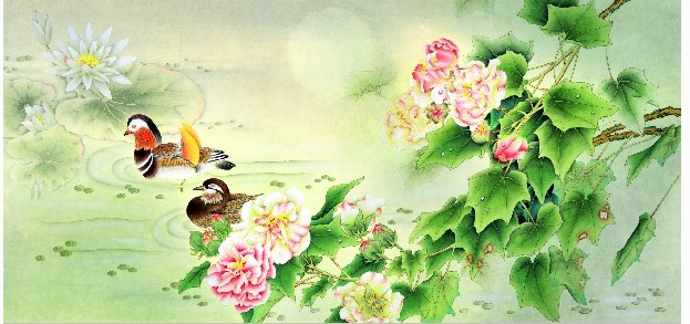 牡丹 / 国画